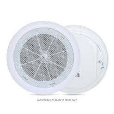 Celling loudspeaker Plastic
