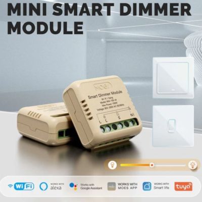 MINI wifi smart Dimmer switch 2  gang